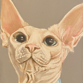 Kayla Wright - Pet Portrait Artist - Petoskey, MI