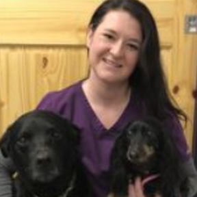 Family Veterinary Care Center - Williamsburg, MA