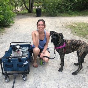 Clinical Pet Nutritionist and Diet Formulator - Winfield, IN