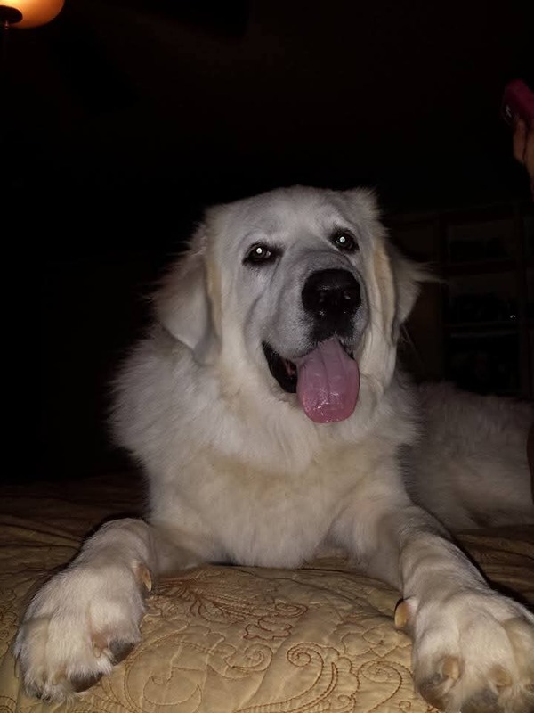 Milo