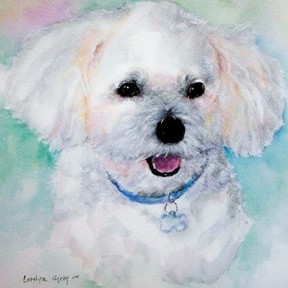 Carolyn Gray Watercolor Artist - Pet Portrait Paintings - St. Augustine, FL - St. Augustine, FL