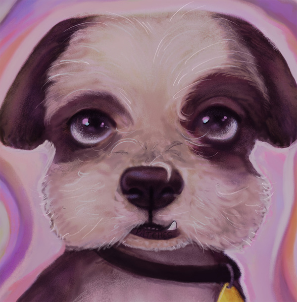 Pet Portraits by Phoebe Lee - Nationwide
