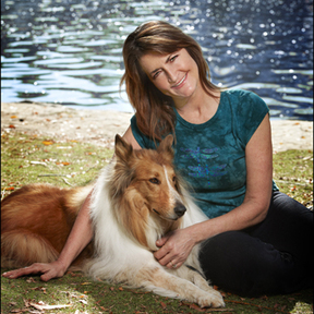 Behavior Modification - Dog Training and Service Dogs - Chino, CA