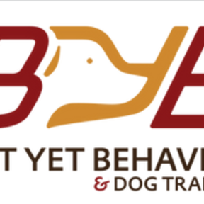 Best Yet Behavior and Private Dog Training - Caledonia, WI