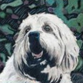The Jimmydog Design Group - Pet Portrait Artist - Winston-Salem, NC -Winston-Salem, NC
