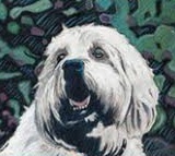 The Jimmydog Design Group - Pet Portrait Artist - Winston-Salem, NC