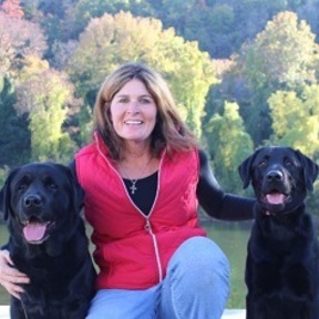 The Positive Pooch - CPDT Certified Private Dog Trainer - Conshohocken, PA