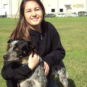 Sunrise K9 Training - Certified Dog Trainer - Maricopa, AZ