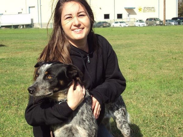 Sunrise K9 Training - Certified Dog Trainer - Round Rock, TX