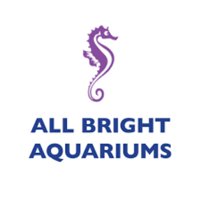Allbright Aquariums - Aquarium Services - Lake George, NY