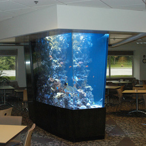  Aquatic Art Technologies, Professional Aquarium Services  - Glastonbury, CT