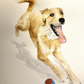 $95  Affordable Watercolor Pet Paintings - Birmingham, AL