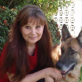 Westside Dog Nanny - Dog Walker and Pet Sitter - Los Angeles, CA