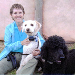 All Greatful Dogs - Holistic Dog Trainers and Reiki Care - Grand Junction, CO - Nationwide