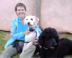All Greatful Dogs - Holistic Dog Trainers and Reiki Care - Grand Junction, CO