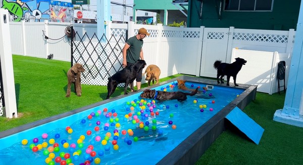 Foto piscina con pelotas