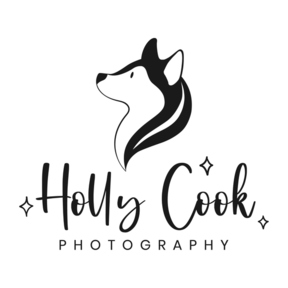 PNW Dog Photographer  - Seattle, WA