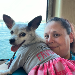 Reliable and Loving Pet Taxi - Auburn, WA