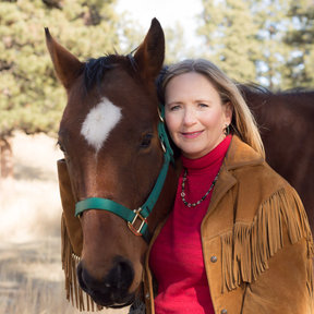 Equine Assisted Psychotherapy - Horse Behavioral Training - Evergreen, CO