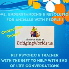 Aminah - Pet Psychic - Animal Communicator and Adjustor - Nationwide