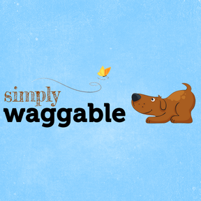 Simply Waggable - dog walks, cat care visits, overnight sits - Chicago, IL