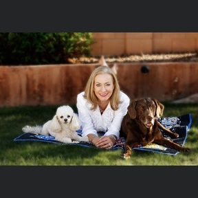 Be Kind To Dogs - Private Canine Training Services - Chandler, AZ