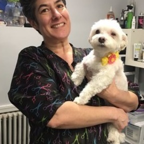 Canino Grooming - Dog Grooming Services - Union City, NJ