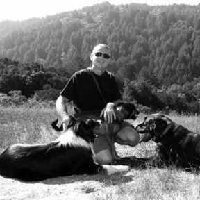 Bay Dog Behavior Training - Personal Dog Trainer - Piedmont, CA