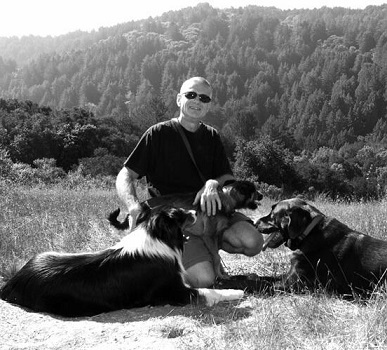 Bay Dog Behavior Training - Personal Dog Trainer - Piedmont, CA