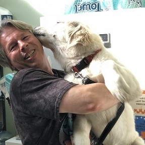 Dog Gone Good Training - Canine Behavior Modification - Richmond, CA