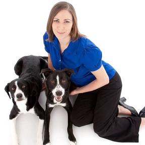 Whole Life Mobile Veterinary Care and Animal Acupuncture - San Diego, CA