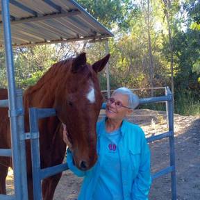 Animal Reiki - Specializing in Equine Reiki  - Carlsbad, CA