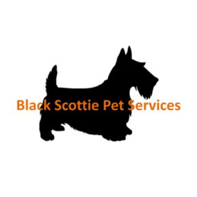 Black Scottie In Home Pet Sitting Services  - Fayetteville, NC