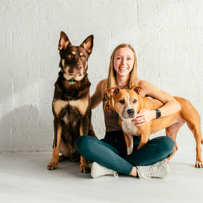 Haven Animal Chiropractic - Knoxville, TN