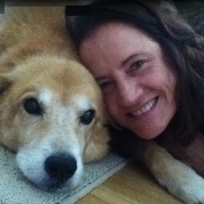 Shauna Crowley - Cat Behaviorist and Trainer  - Worcester, MA
