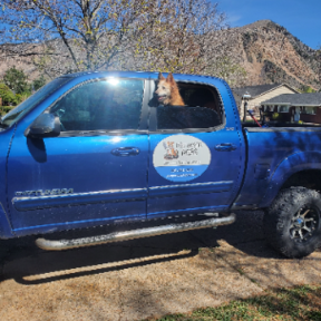 Pet Waste Pros - Pooper Scooper Service - Ogden, UT