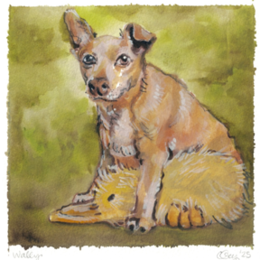Original Watercolor Pet Portraits - Oakland, CA