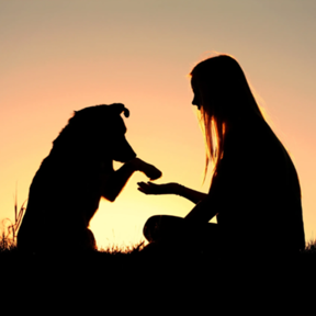 First Response Drone and K9 Search - Lost Pet Finder - Aberdeen, MD