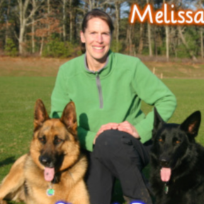 People Training for Good Dogs - Private Dog Training  - East Falmouth, MA