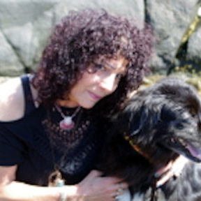 Barking Zoomies Holistic Dog Consultations - Salem, MA