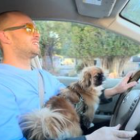 George Macneill - Pet Transportation Services - Nationwide