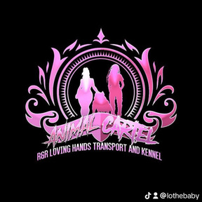 R&R Loving Hands Transport and Kennel  - Pensacola, FL