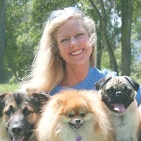 Anita's Loving Pet Services - Dog Training Care - Lomita, CA