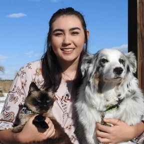 Shasta's Dog House Pet Sitting and Care Services  - Fort Collins, CO