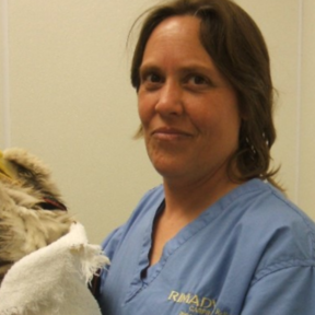 Christine Hinze, DVM - Reiki and Chiropractic Pet Care - Galveston, TX