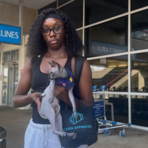 PA - NJ based Flight Nanny - Philadelphia, PA