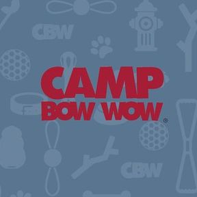 Camp Bow Wow Doggy Daycare - Middlesex, NJ
