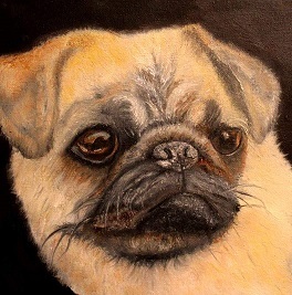Custom oil paintings Pet Portraits and more - Bangor, ME