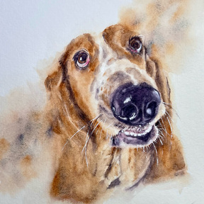 Original Watercolor Pet Portraits - Houston, TX