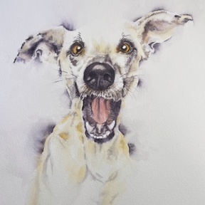 Original Watercolor Pet Portraits - Houston, TX
